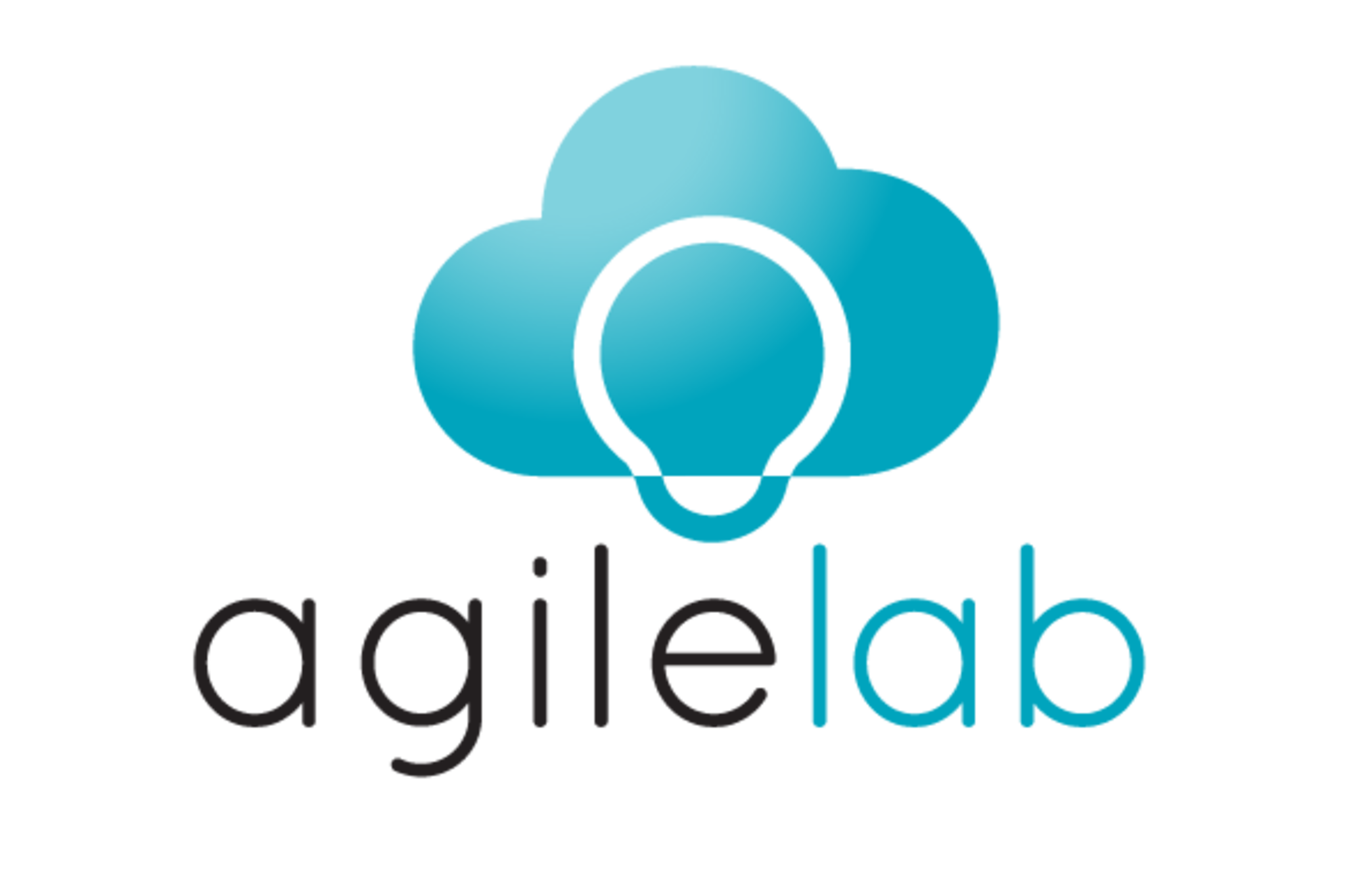 Agile Lab Experience